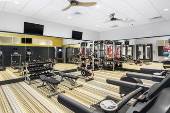 Fitness center with high-end cardio and weight equipment